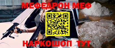 стаф Гатчина