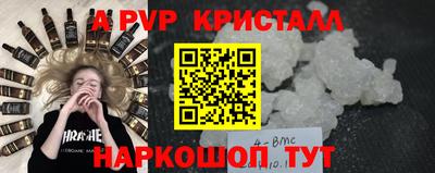 стаф Гатчина