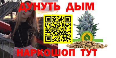 стаф Гатчина