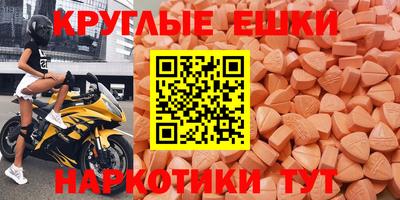 стаф Гатчина