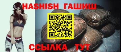 стаф Гатчина